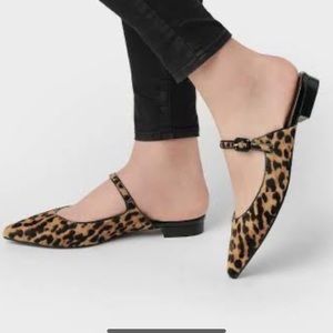 Aerosoles Flemington Leopard Mule Slip-ons